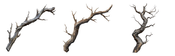 Unique Natural Twisted Tree Branches for Design Projects Isolated on Transparent Background