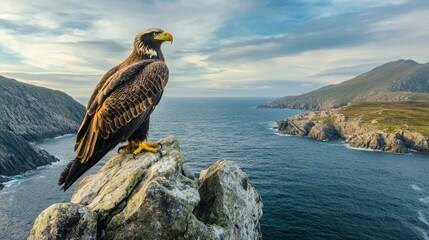 Fototapeta premium A majestic eagle perched on a rocky outcrop, with the ocean stretching out below