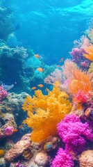 Fototapeta premium colorful corrals and seaweeds under water