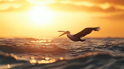 A pelican gracefully skimming the surface of the ocean at sunrise, its wings touching the water