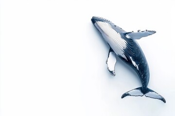 A whale isolate on white background, its massive form and graceful tail displayed elegantly.