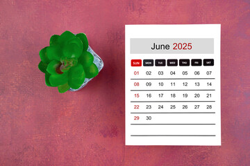Calendar page for June 2025 and houseplant on retro background.