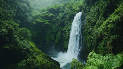 Obraz premium Lush Green Waterfall Surrounded by Dense Forest