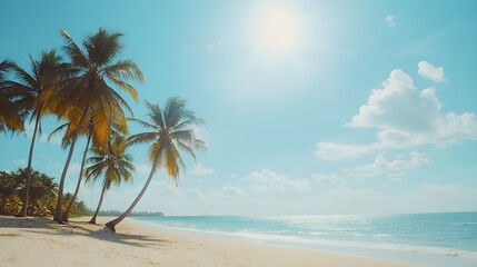 Obraz premium A stunning view of a tropical beach under a bright sun, with tall palm trees swaying gently in the warm breeze, soft golden sand stretching along the shoreline, creating a perfect summer vibe. 