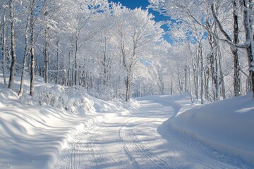 Obraz premium Winter season background in white snow landscape