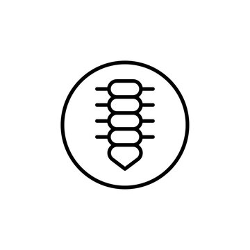 recommend clip art: Spine icon Thin vector set