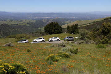 Tourists park along the roadside to view poppy blooms at Mt Diablo State Park, California