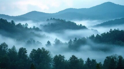 Fototapeta premium Misty Mountains with Fog in Tranquil Landscape