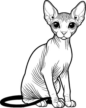 recommend clip art: Black Line Art Sitting Sphynx Cat Pet Hand Drawn Illustration