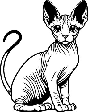 recommend clip art: Black Line Art Sitting Sphynx Cat Pet Hand Drawn Illustration