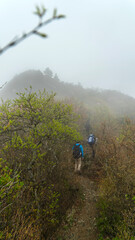 Obraz premium 東赤石山へと続く登山道