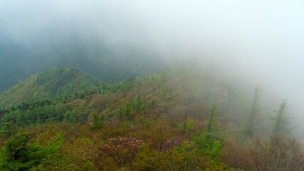 東赤石山　 石鎚山地