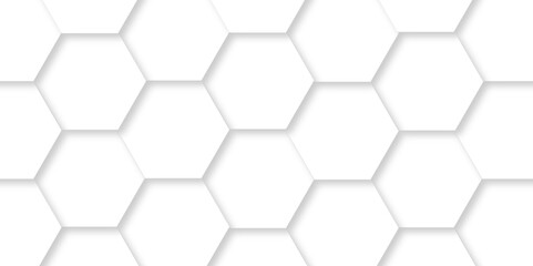 Minimal White Hexagonal Background. Luxury White Pattern. Vector Illustration. 3D Futuristic abstract honeycomb mosaic white background. geometric mesh cell texture. modern futuristic wallpaper.