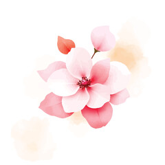 Watercolor Pink Flowers Floral Patterns Flat Illustration Backgrounds