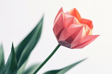 A low polygon style tulip, isolate on white background, featuring geometric shapes and a contemporary design.