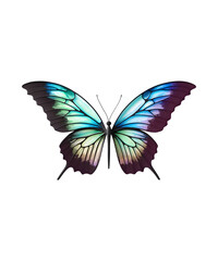 Obraz premium butterfly isolated on white