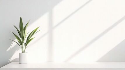 Minimalist Indoor Plant on Bright Background