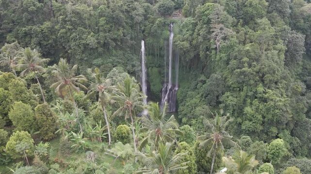 Scenic nature of beautiful waterfall in wild jungle forest environment at Sekumpul Waterfall Bali, Indonesia.