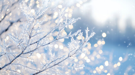 Aftermath of an ice storm with trees sparkling in the winter sunlight