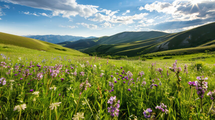 Lush green hills adorned with vibrant wildflowers under bright blue sky create serene landscape. rolling mountains in background enhance natural beauty of this tranquil scene