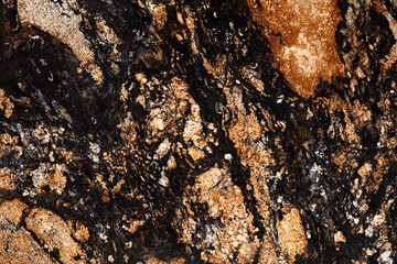Ideal Black Sedna - granite background, texture in strict colors as part of your design work.