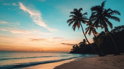 Serene Sunset at Tropical Beach with Palm Trees