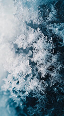 Fototapeta premium frosen background 