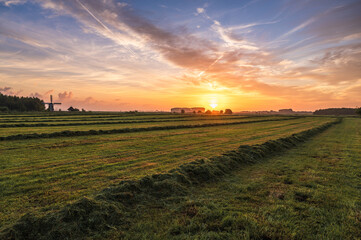 Fototapeta premium Ostfriesland
