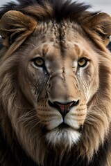 Fototapeta premium ia generated. close up of a lion