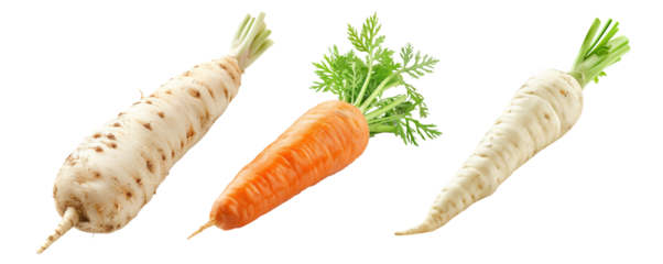 Set of Imperator carrot and Parsnip root with green leaves isolated on a white background.