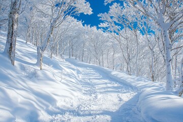 Winter season background with full of snow