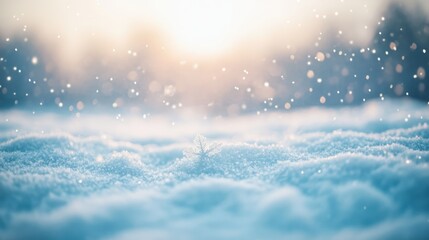 The Snowy Winter Landscape