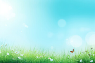 Obraz premium Serene Spring Meadow with Fluttering Butterfly