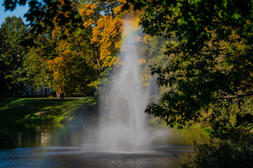 Rainbow refraction in autumn foliage park of orange leaves