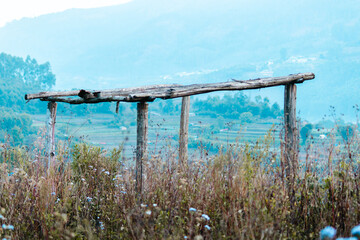 beautifull landscape view