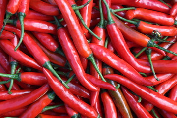 Top view of fresh red chilis. Known as cabe merah keriting to Indonesian. Red chili texture...