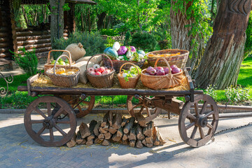 Freshly harvested vegetables displayed on a rustic wooden cart in the garden © Роман Заворотный