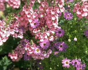 Flowers close view background. Natural flower shape, garden plants