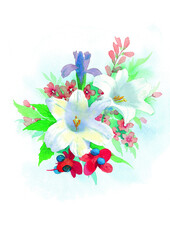 Flowers watecolor drawing, flower over white background painting