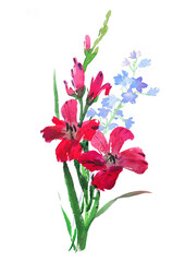 Flowers watecolor drawing, flower over white background painting