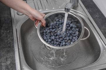 Borówka amerykańska na durszlak, mycie owoców  © Paweł Kacperek