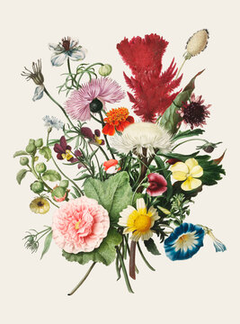 bouquet of flowers