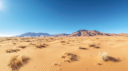 A vast desert landscape with sand dunes under a clear blue sky