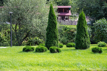 Couple sitting on a bench in a lush green park, surrounded by trees.