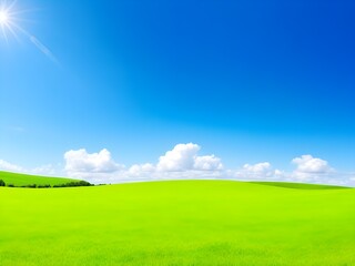 Obraz premium Expansive green landscape under a bright blue sky