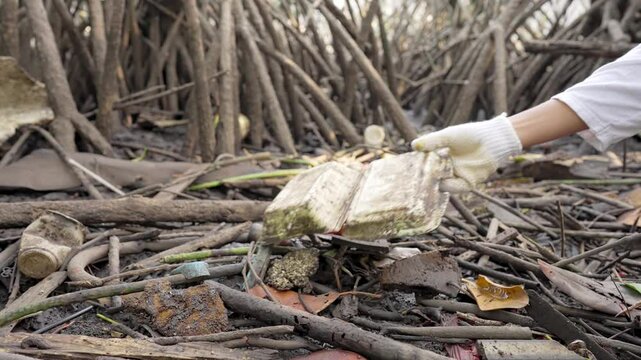 A person picking polystyrene food container polluting mangrove forest, food packaging pollution in nature, single-use plastic foam product in environment