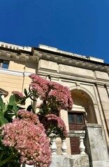 balcony with flowers and sky