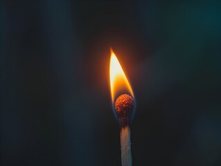 The Ignition of   A Burning Matchstick Symbolizing Creativity and Ideas