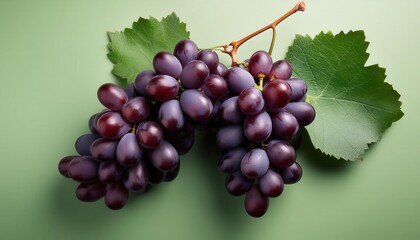 Fototapeta premium Close-up of Fresh Purple Grapes with Green Leaves on Pastel Background. Perfect for Vineyard Promotions, Organic Food Labels, or Wine Related Visuals