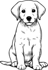 Black Line Art Cute Small Dog Pet Sitting Pose Hand Drawn Illustration